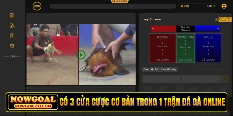 Có 3 cửa cược cơ bản trong 1 trận đá gà online