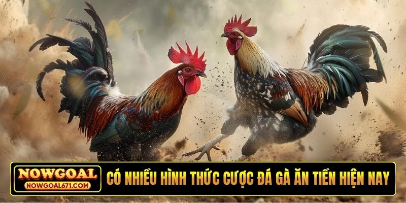 Có nhiều hình thức cược đá gà ăn tiền hiện nay