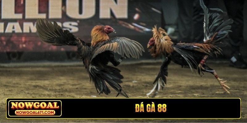Đá gà 88