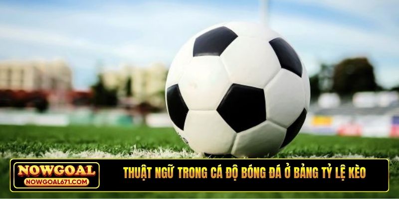 Thuật ngữ trong cá độ bóng đá ở bảng tỷ lệ kèo